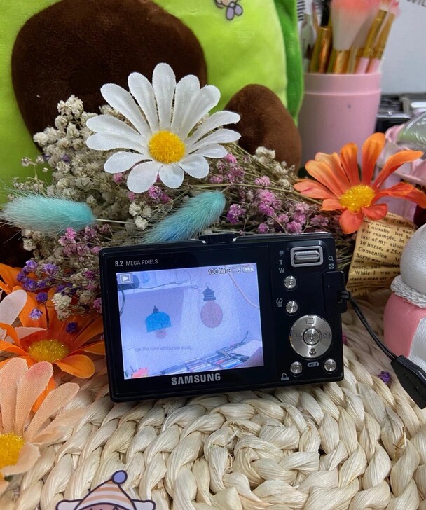 三星L100 /黑色