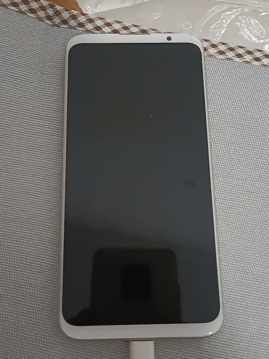 魅族16th内屏坏了,6+64,其他正常