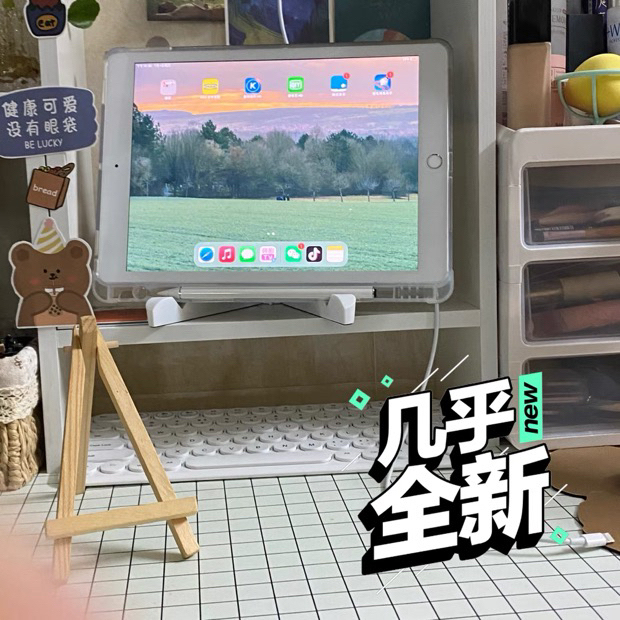 个人经济紧张，转让女生自用平板2019款i...