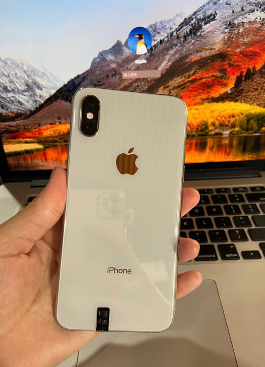 全原装原装屏iPhone XS 256G ...
