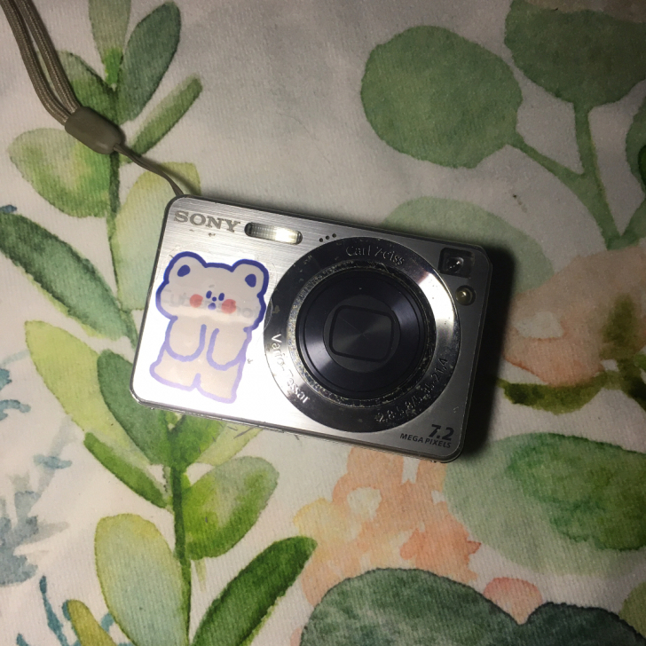 索尼w110｜经典ccd相机