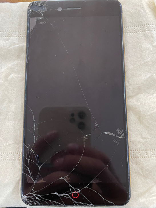 努比亚 Z11 minis 4+64G 功...