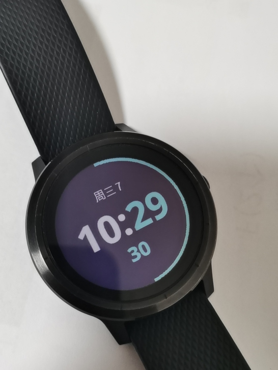Garmin 佳明 Vivoactive ...