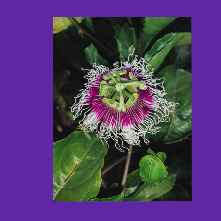 佳能 奥林巴斯 尼康 富士 柯达 ccd相...