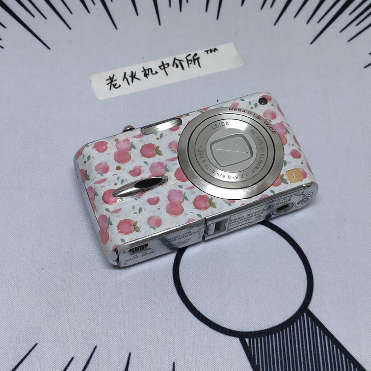 2006 Panasonic fx01 ...