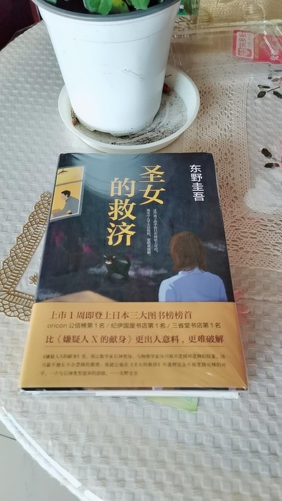 圣女的救济（精装硬壳）东野圭吾惊悚/侦探推...