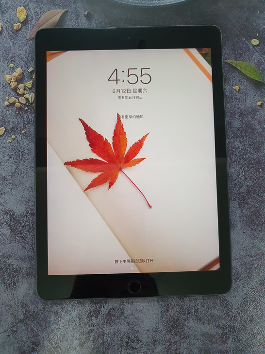 Ipad pro9.7寸32G插卡版，