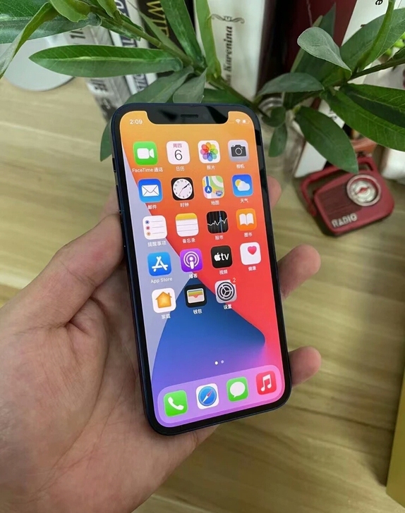 iPhone12mini   蓝色   1...