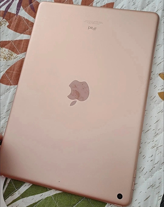自用闲置苹果 10.2 英寸128g iP...