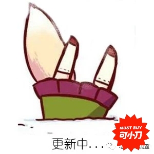小米MIX 2s尊享版 8+256