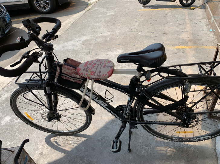 凤凰牌旅行自行车，跑长途，去西藏，自行车，...