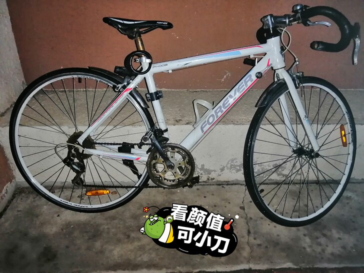 永久牌公路自行车