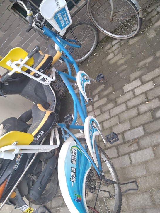 双人自行车，成人两人骑脚蹬脚踏旅游观光情侣...