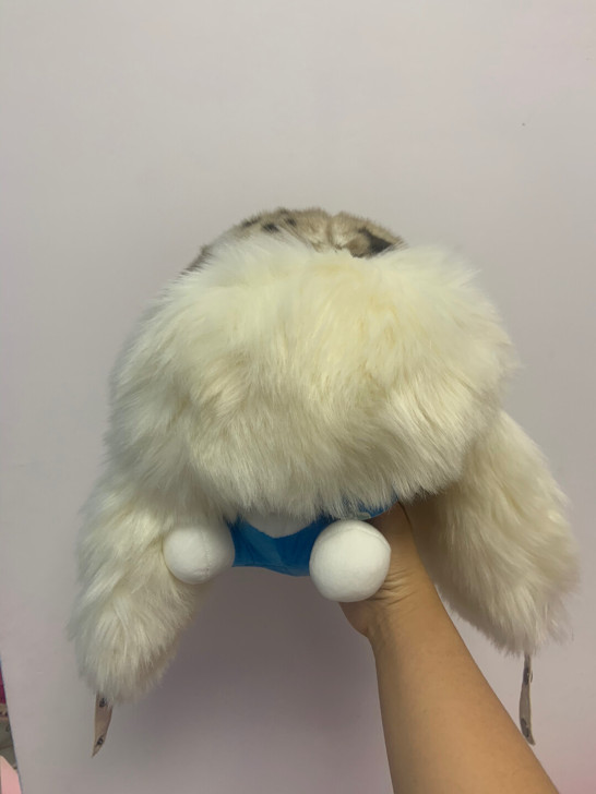 雷锋帽 全新 冬季帽子