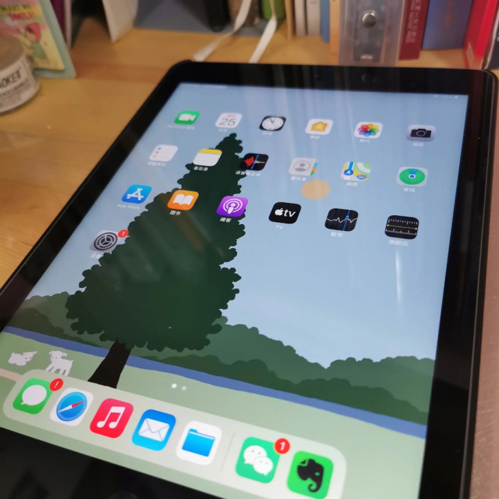 闲置女生自用ipad 6 air2(64G...