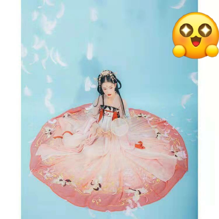 汉服女绣花齐胸襦裙全新拍照仙女新