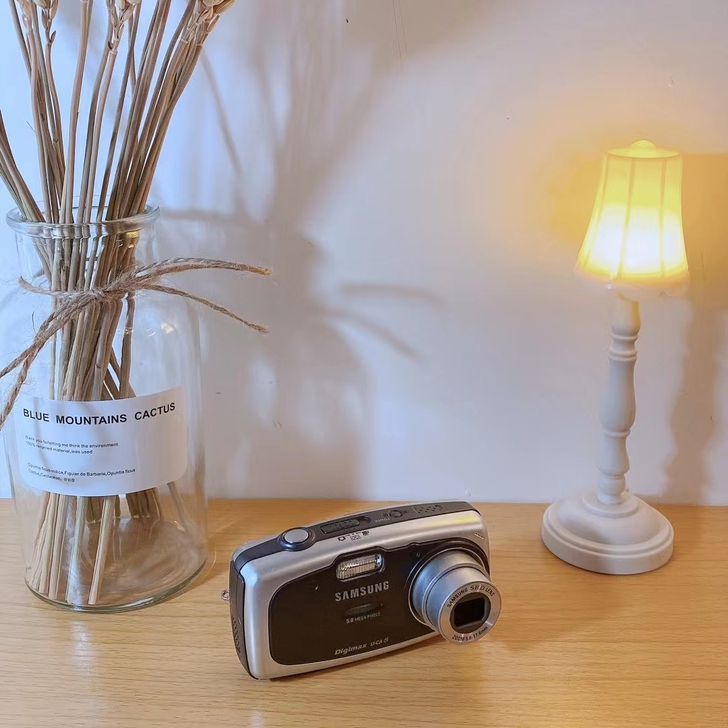 ccd相机 三星uca5