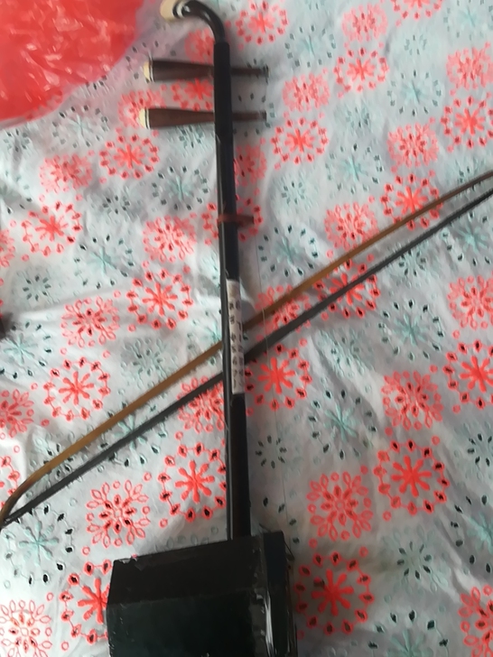 不知多少年紫檀木二胡闲置