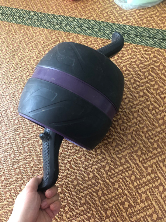 回弹健腹轮，如图