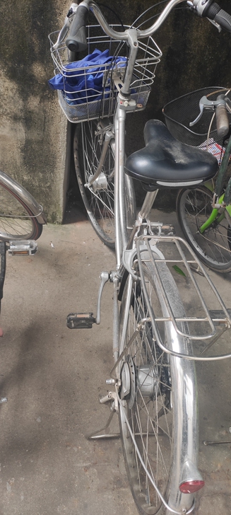 内八速，罗拉刹车，免维护！日本旅行自行车国...