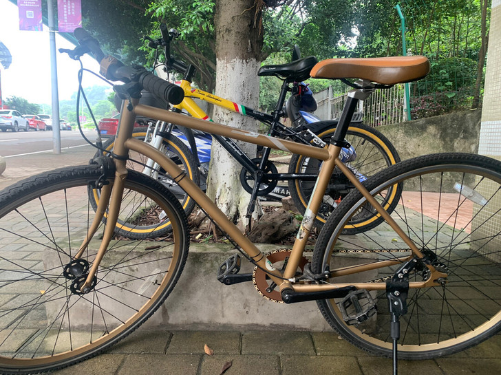 单速 死飞 台湾的什么牌子不记得了！以前零...