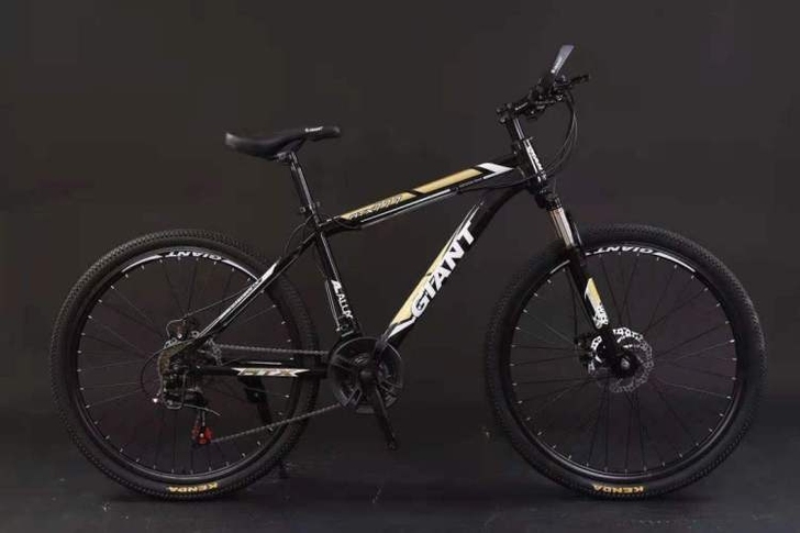 捷安特山地车自行车男女中青年学生变速单车减...