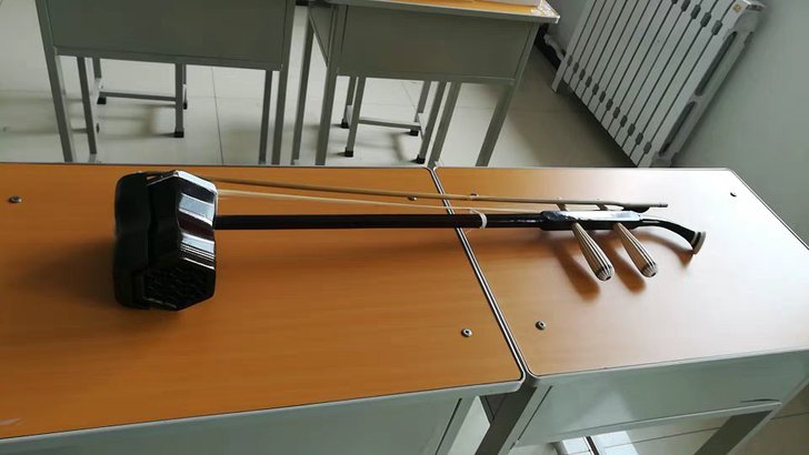 全新蟒皮实木二胡