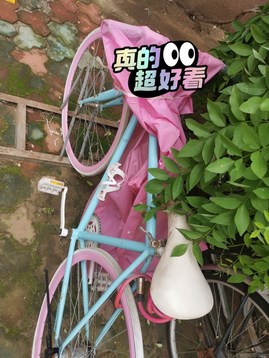 蓝粉色死飞，倒刹闸，因去外地上学，不长骑，...