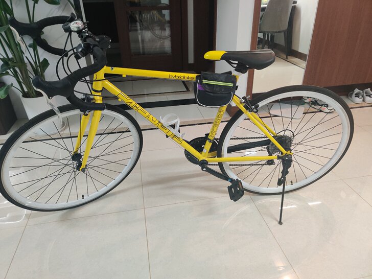 九五成新公路车，因工作原因忍痛割爱。非诚勿...