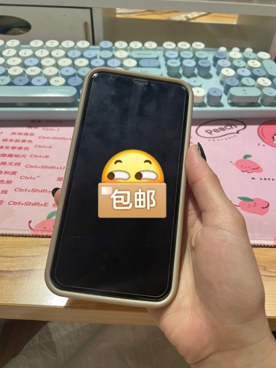 自用iPhone X 没有维修过，所有功能...