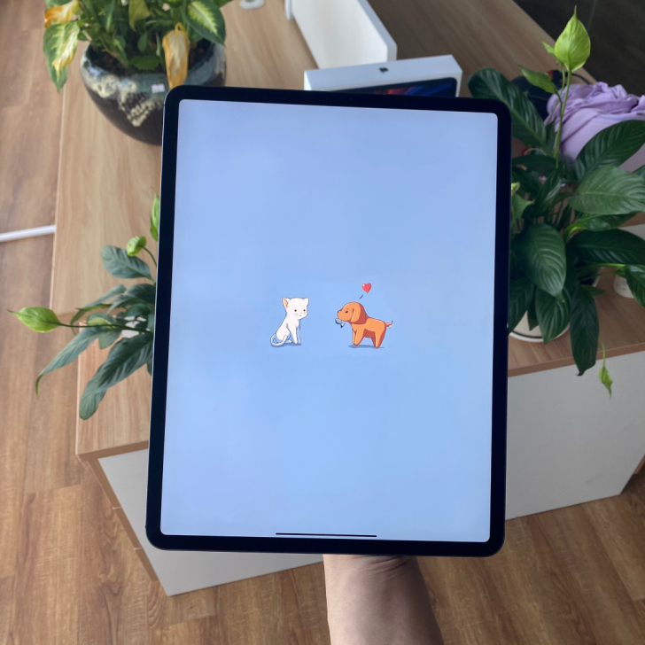 特价机iPad Pro12.9寸3代 25...