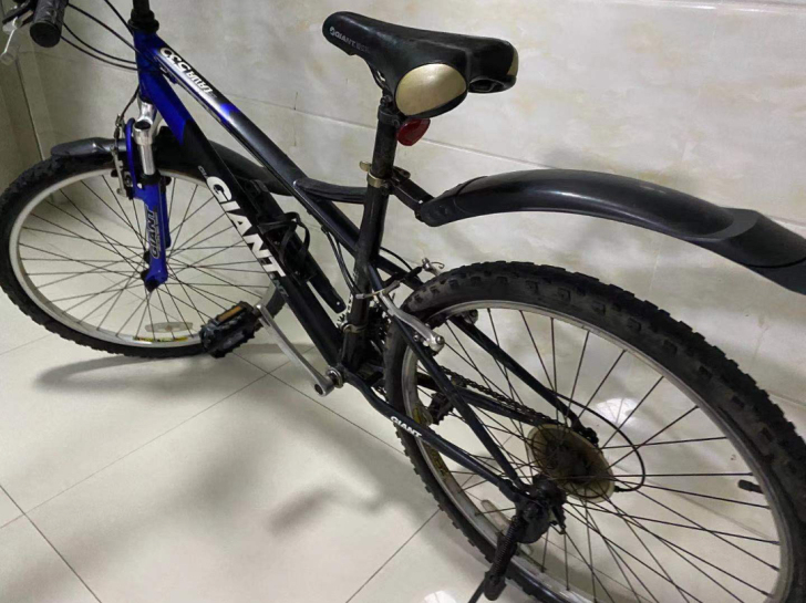 捷安特山地自行车，21速  南京自提