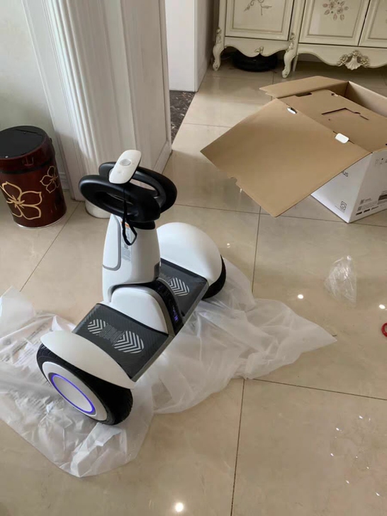Ninebot平衡车小米九号plus体感车...
