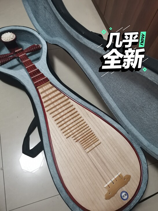 孩子使用的琵琶，升级换新，此为闲置，出给有...