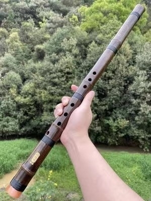 短萧乐器专业初学入门素紫竹洞箫笛F正反手八...