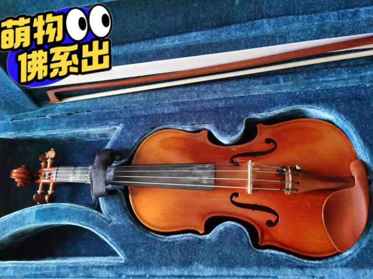 原价1400多的小提琴.因为小了现换大琴....