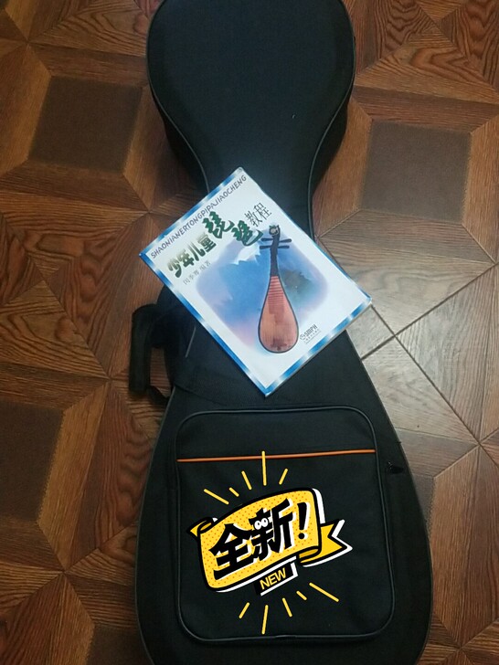 琵琶乐器  入门练习中算好的了