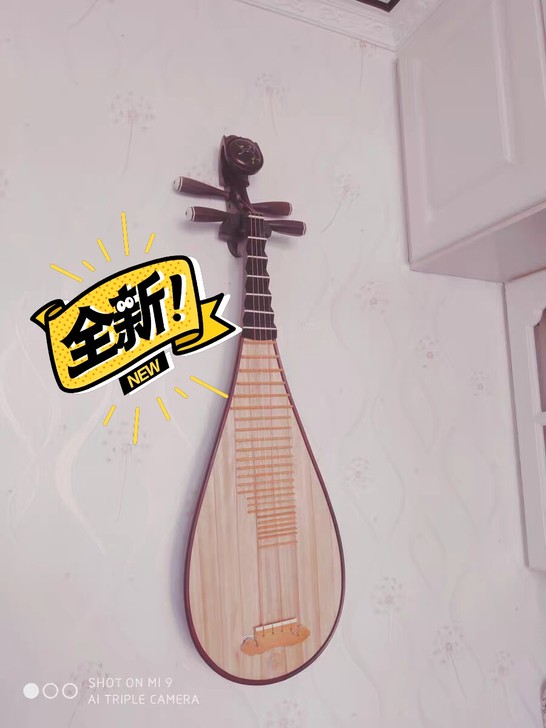星海琵琶乐器全新正品没拆包装的初学琴