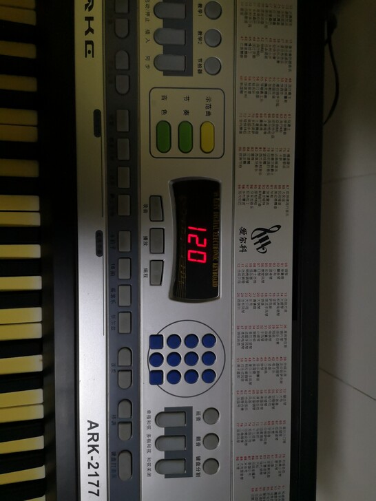 ARK2177电子琴