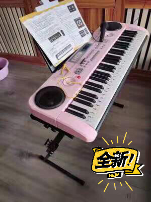 全新闲置  61键电子琴 俏娃宝贝 儿童钢...
