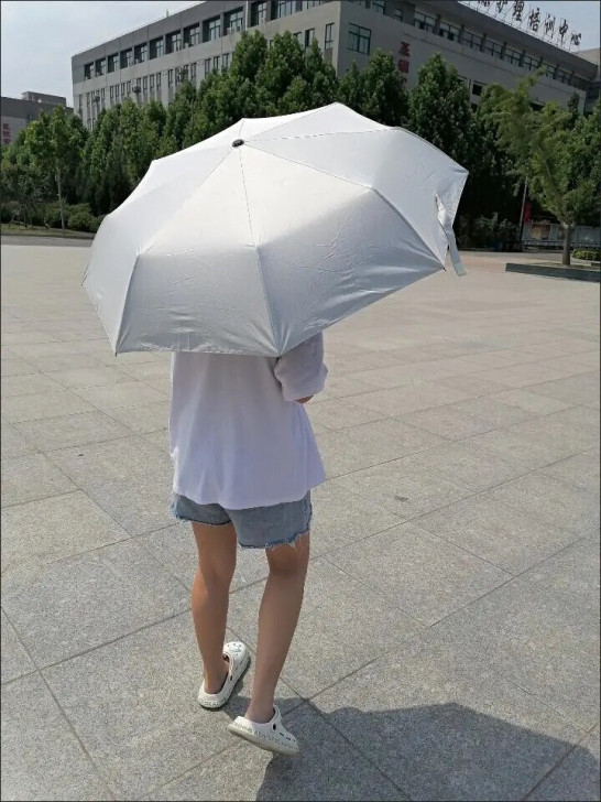 超市倒闭清仓 全部包邮【19.8元】一把