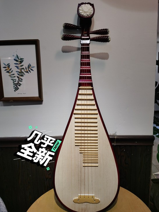 琵琶乐器古风乐器成人琵琶！