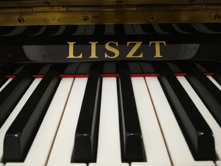 李斯特钢琴，买来给孩子的，结果孩子不喜欢弹...