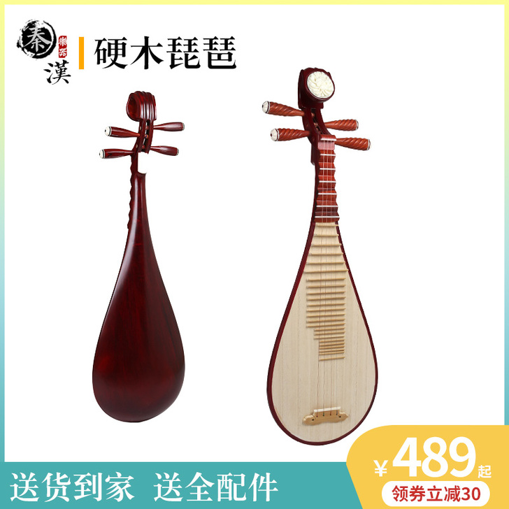 秦汉琵琶乐器琵琶初学入门考级琵琶配件民族乐...