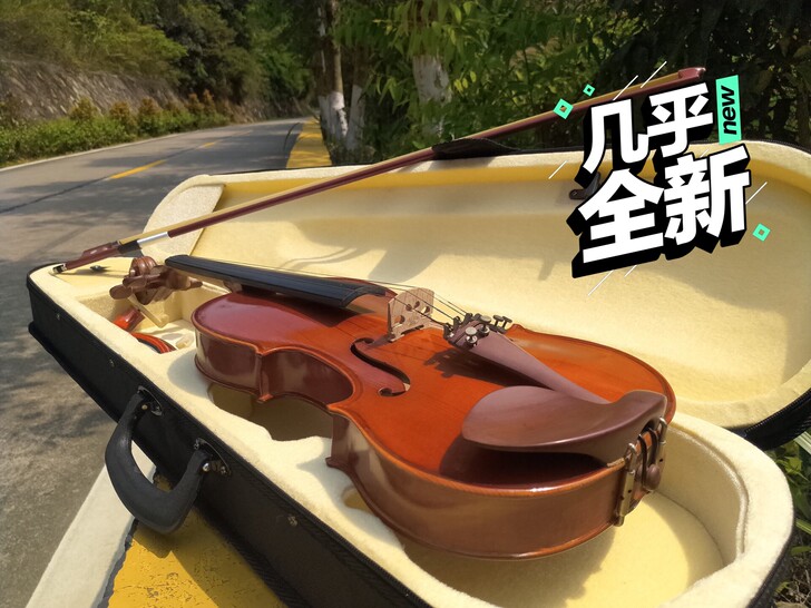 琴行库存全新全实木小提琴 ，原价都是100...