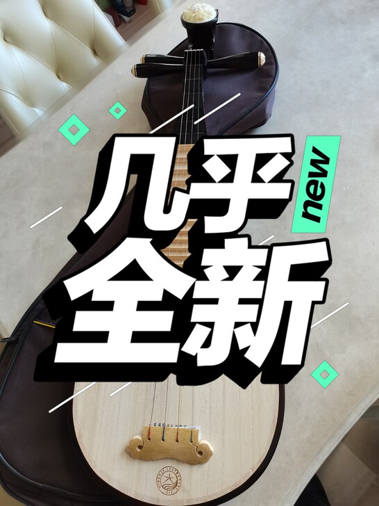 孩子想学琵琶，没坚持下去，买了枇杷用了不超...