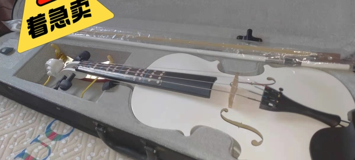 小提琴     4/4     刀死我没问题