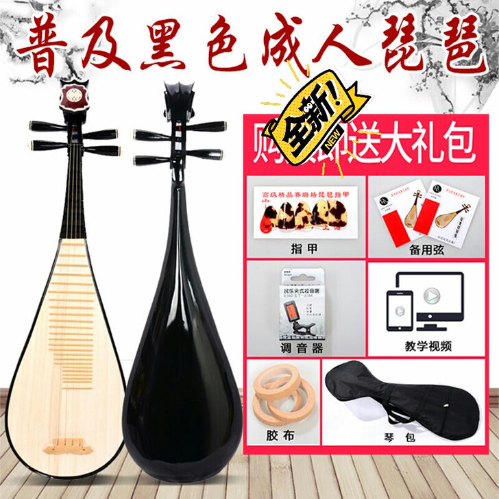 成人琵琶 初学民族乐器硬木红木练习琴专业演...