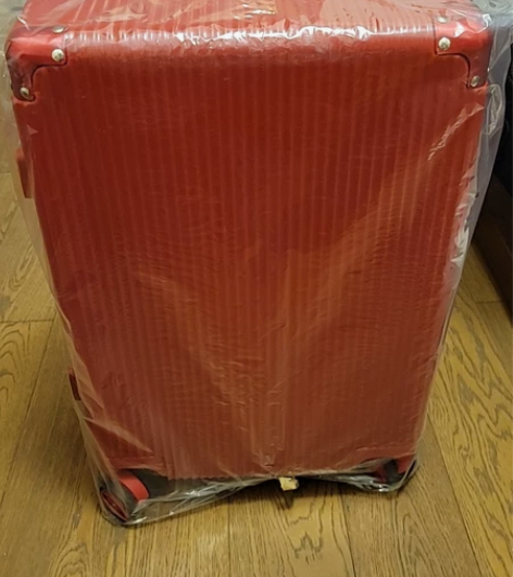 WRC精典竖条纹拉杆箱，20寸行李箱 感兴...