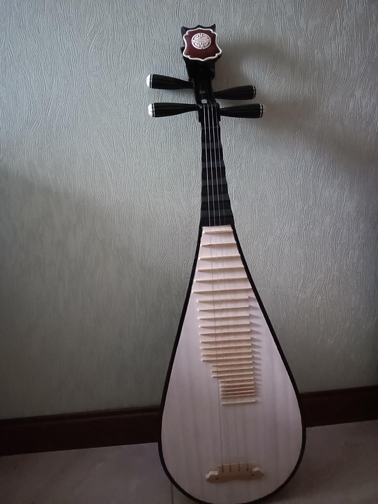 全新成人练手琵琶，原价刚买的650元，是练...